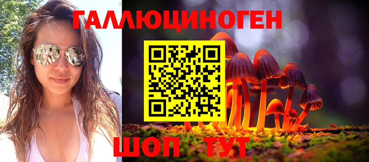 Иваново  Псилоцибиновые грибы Cubensis  Вход с VPN 